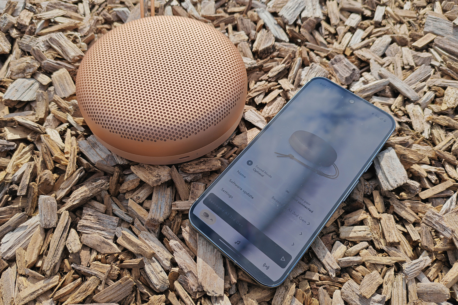 Bang Olufsen Beosound A1 3rd gen review app