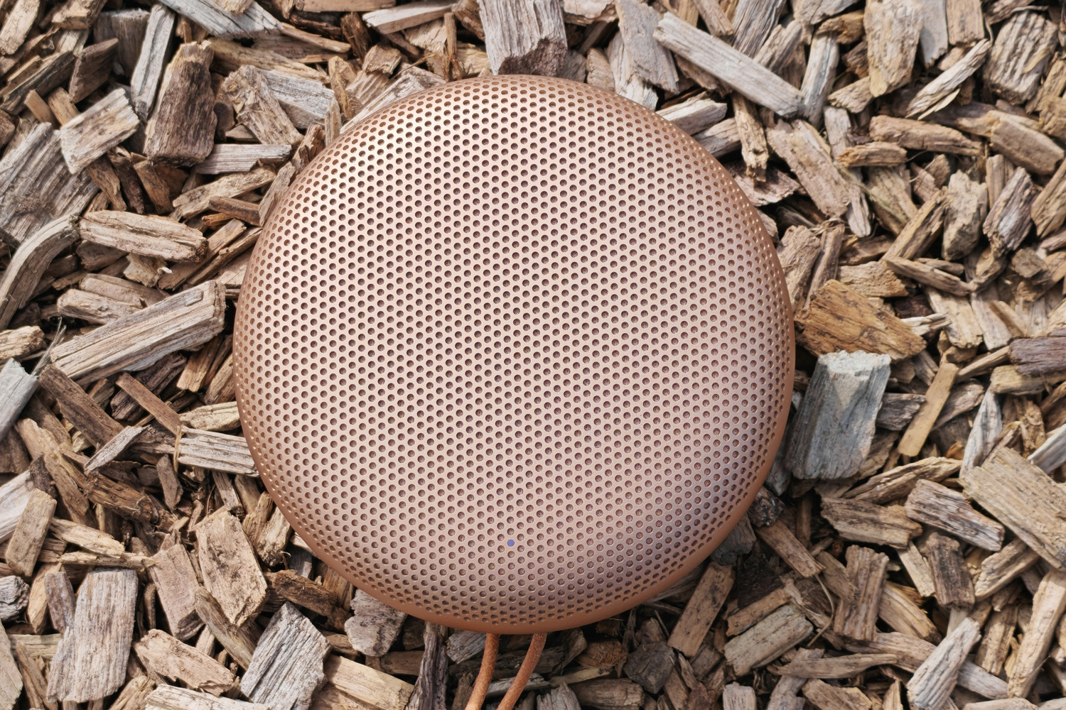 Bang Olufsen Beosound A1 3rd gen review top