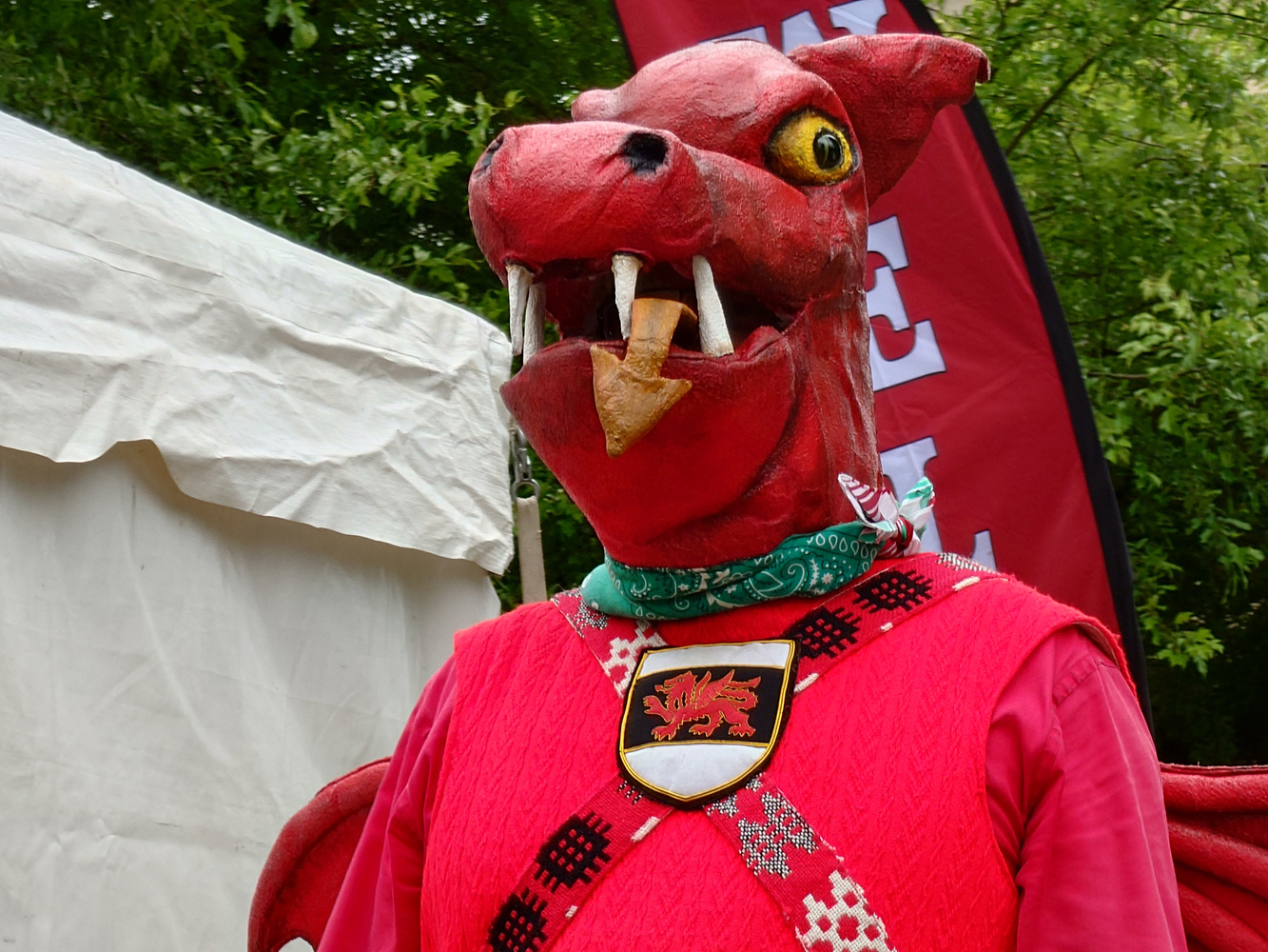 Sony Xperia 1 VII camera samples dragon