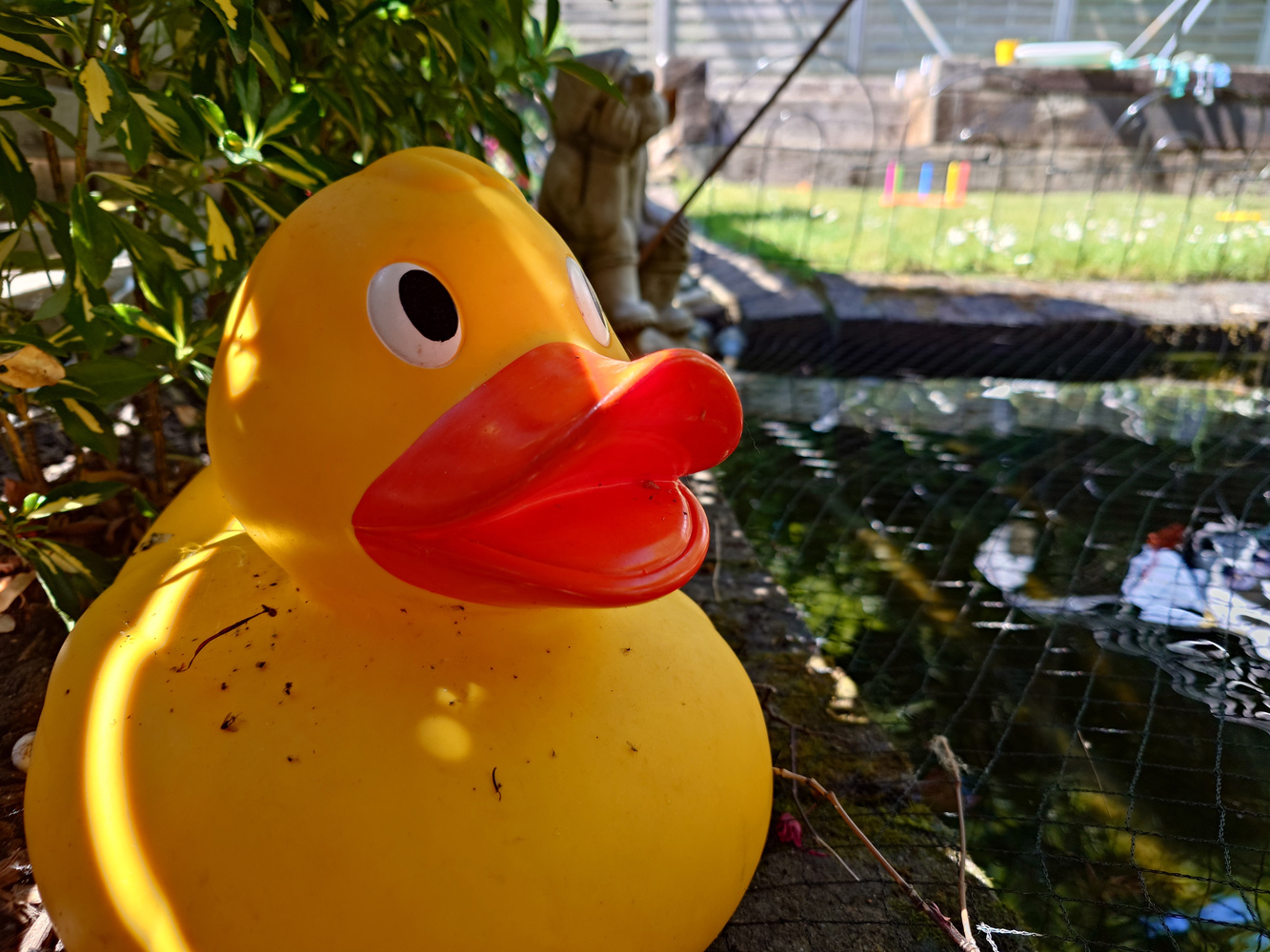 Sony Xperia 1 VII camera samples duck