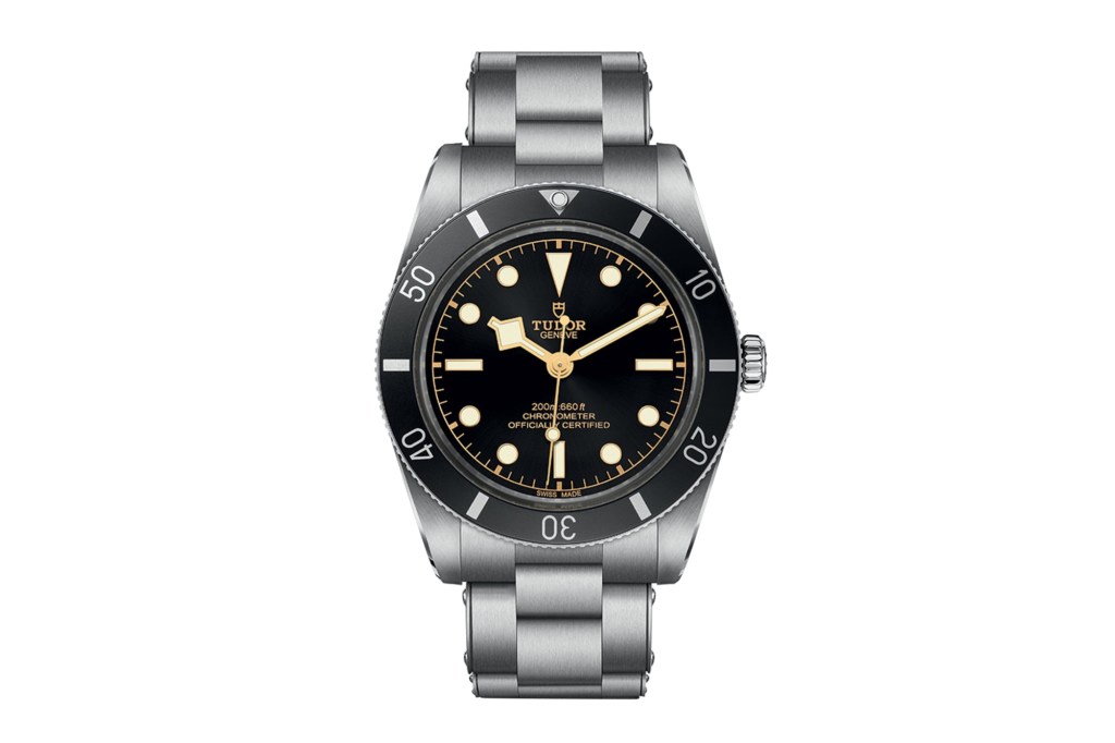 Tudor Black Bay 54 on white background