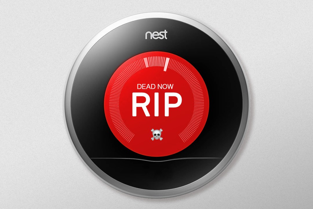 Nest v2 with Dead Now RIP on the front and a skull emoji