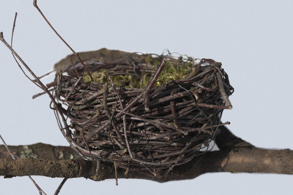Bird’s nest for Google axing Nest article