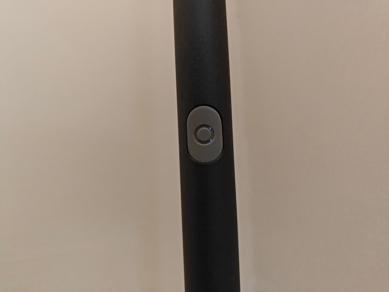 Govee Torchier lamp button