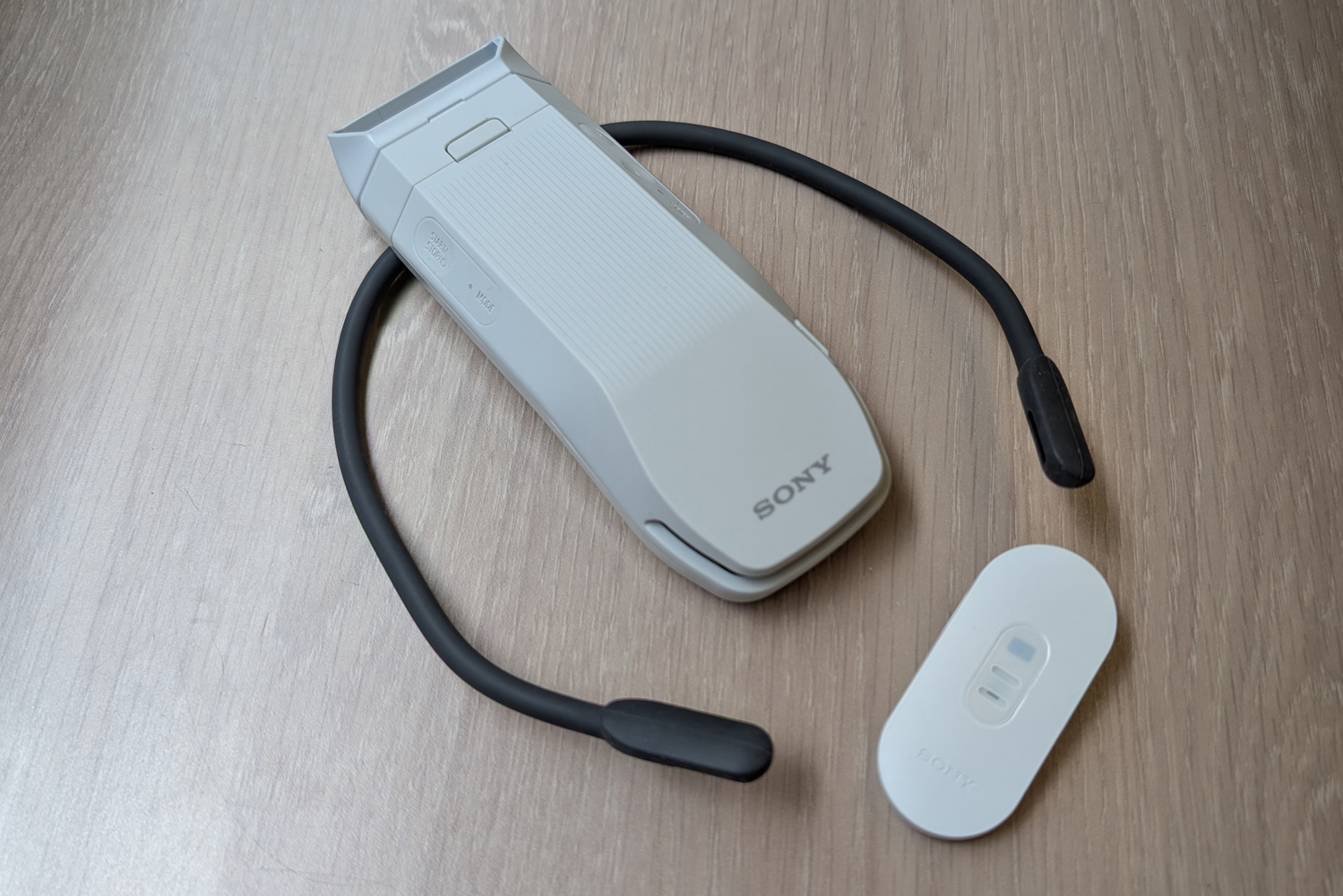 Sony Reon Pocket Pro review with tag