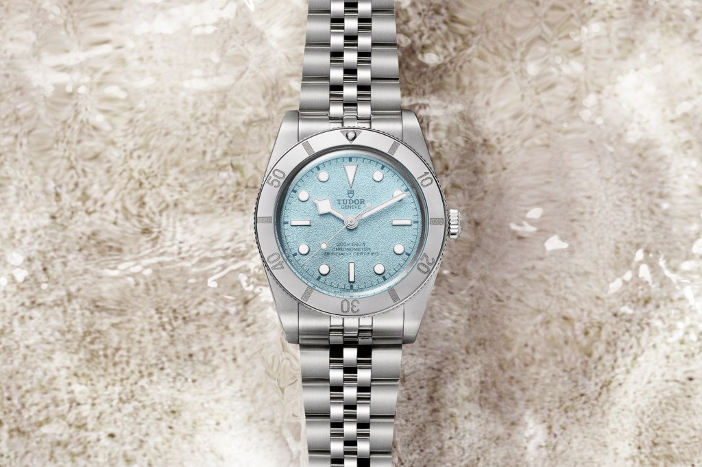 Tudor Black Bay 54 on beach