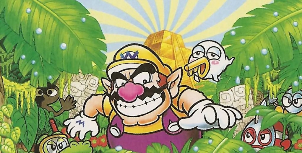 Wario Land
