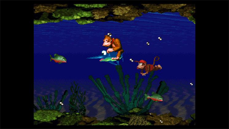 donkey kong country