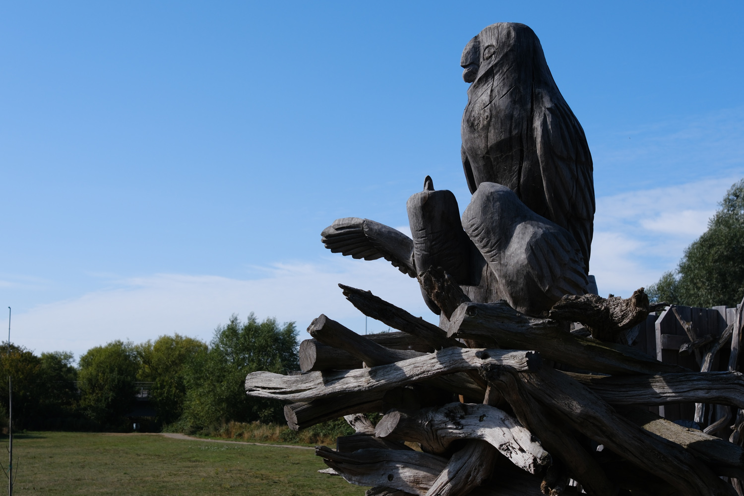 Fujifilm X-E5 camera samples owl