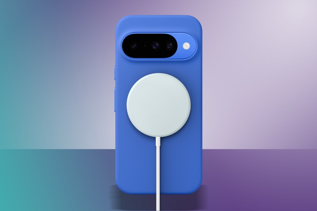 Google Pixel 10 Pixelsnap case