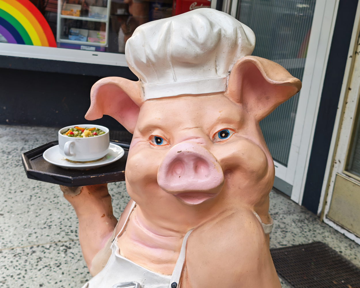 Honor Magic V5 camera samples portrait