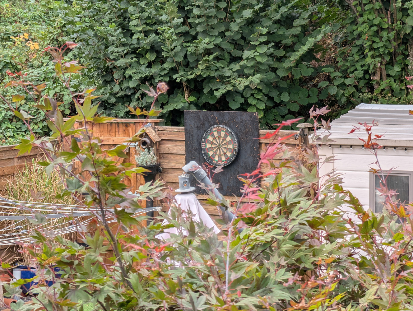 Pixel 10 Pro XL camera samples Pro Res zoom 5x