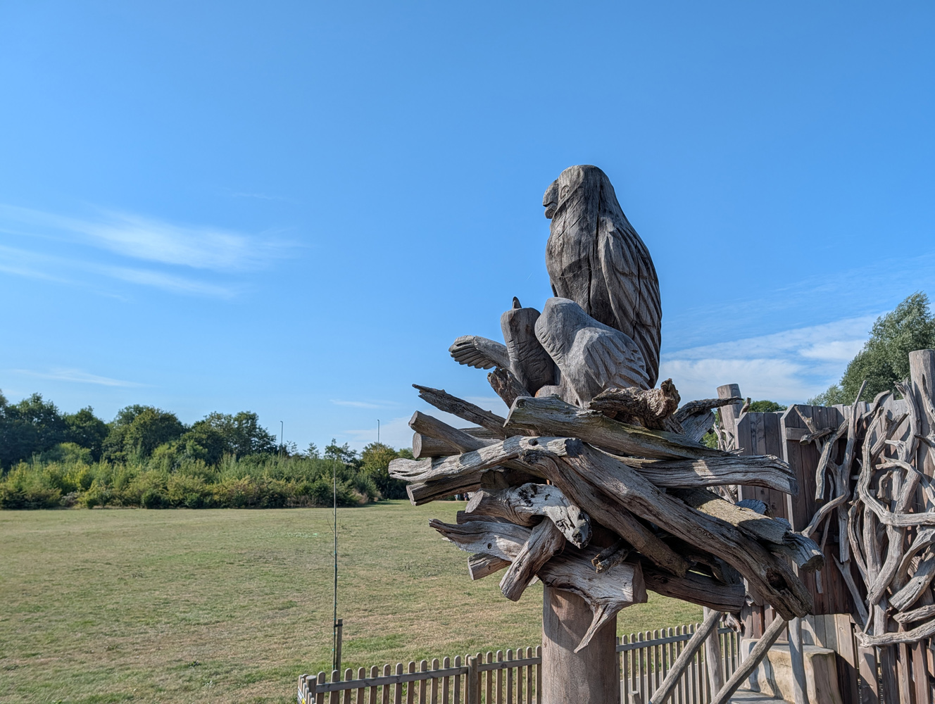 Pixel 10 Pro XL camera samples owl