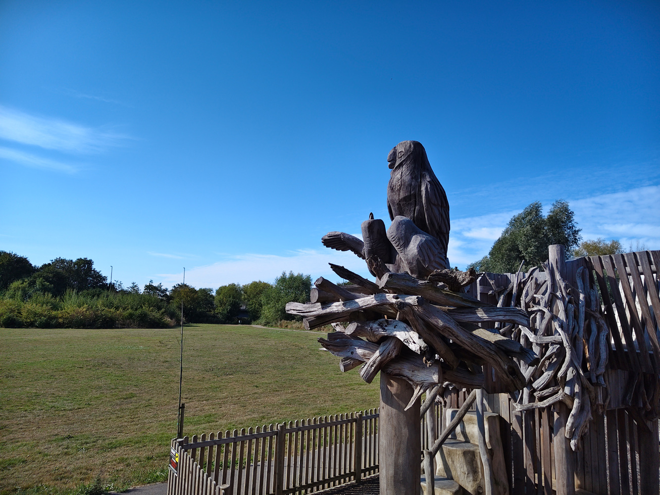 Vivo V60 camera samples owl