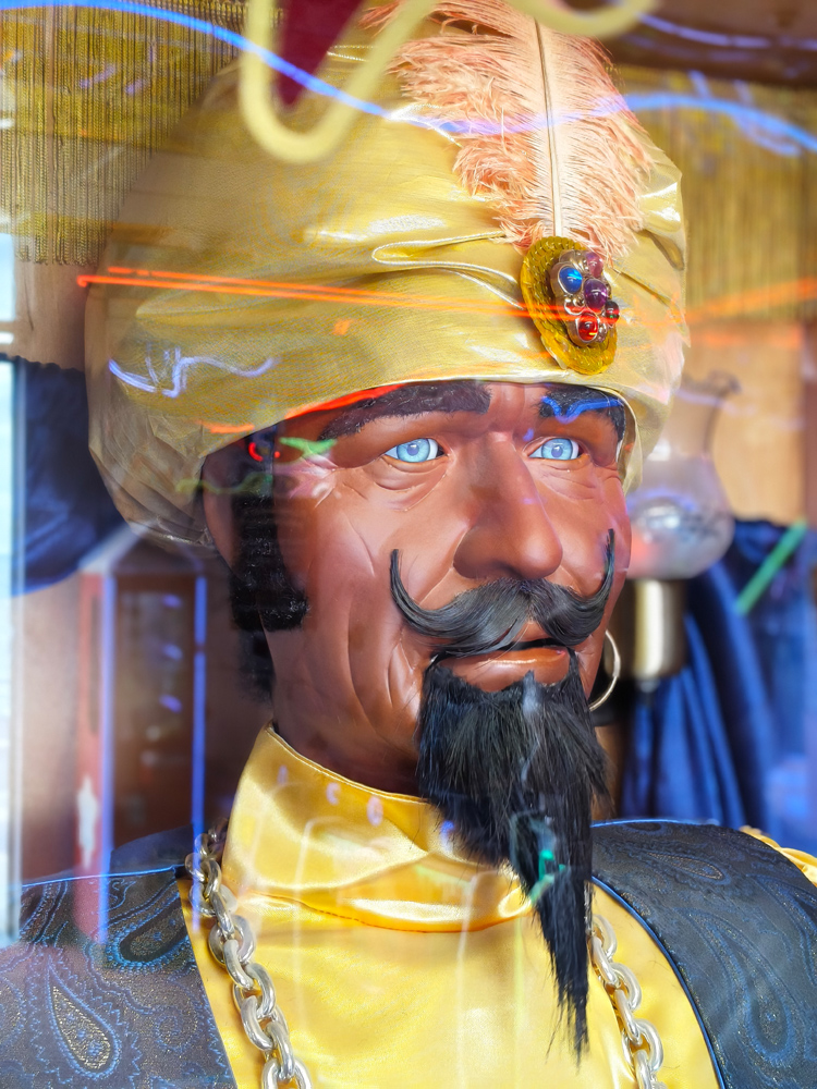 OnePlus Nord CE5 camera samples Zoltar