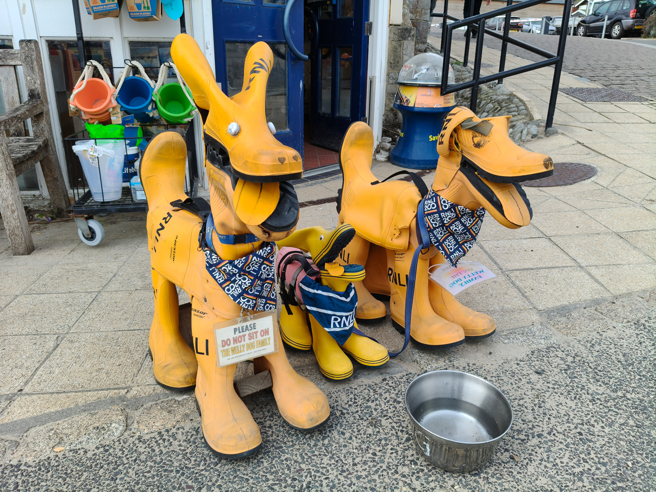OnePlus Nord CE5 camera samples boot dogs