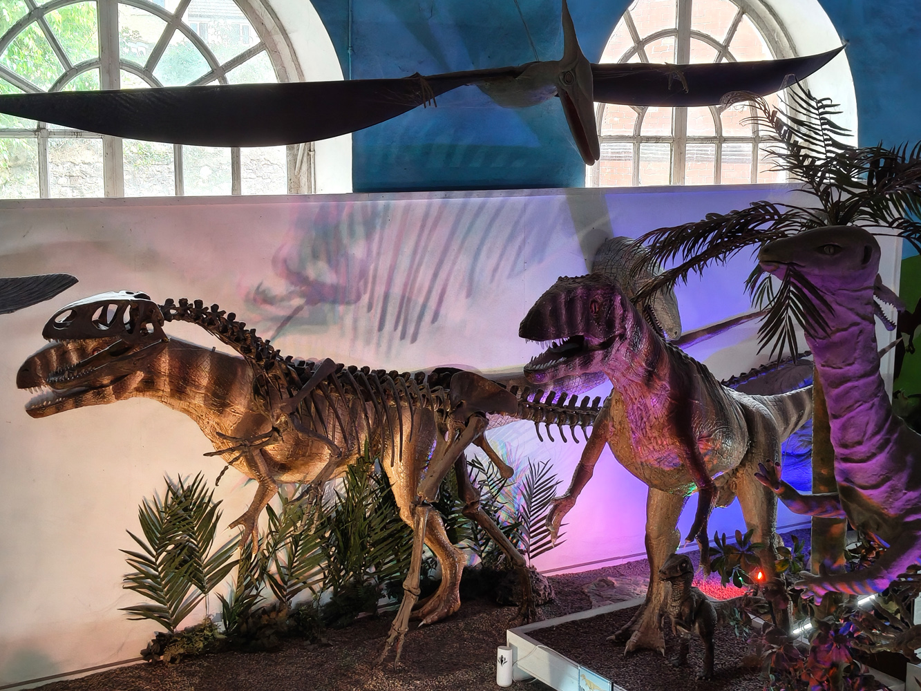 OnePlus Nord CE5 camera samples dinosaurs