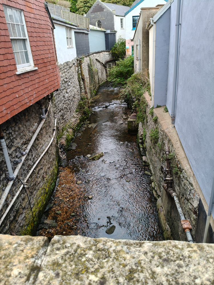 OnePlus Nord CE5 camera samples stream