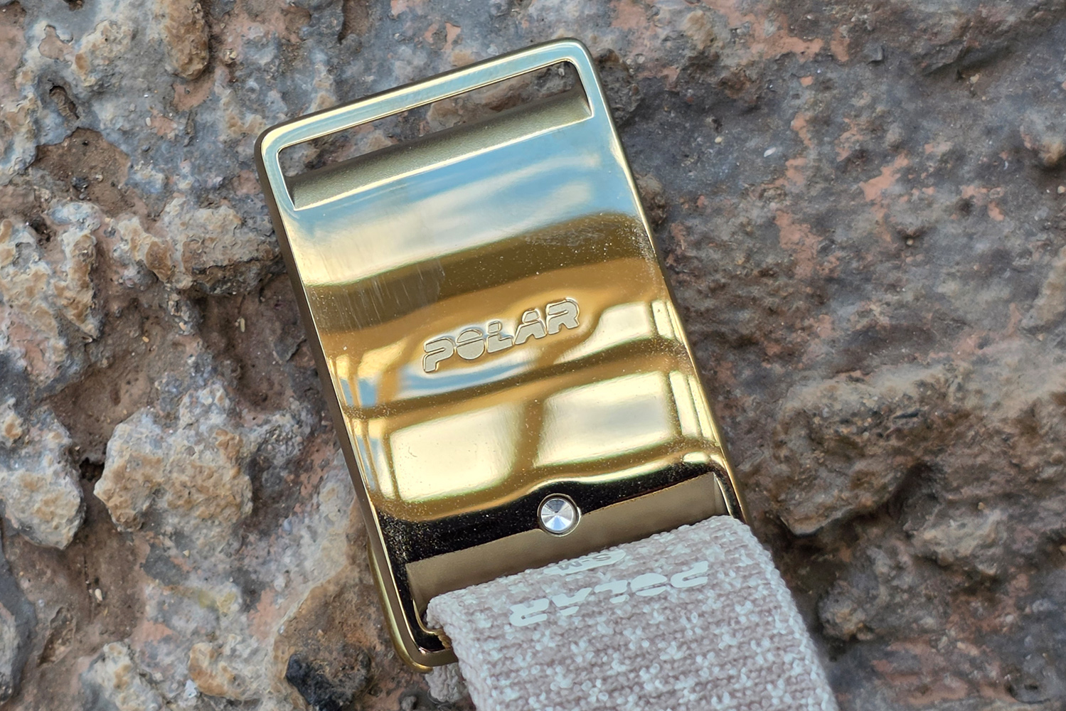 Polar Loop review gold case