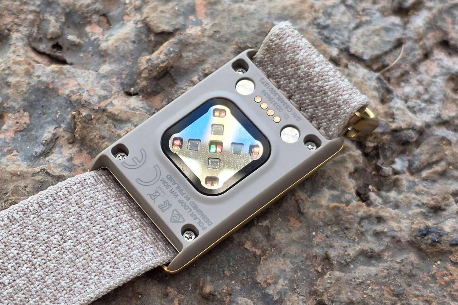 Polar Loop review sensor