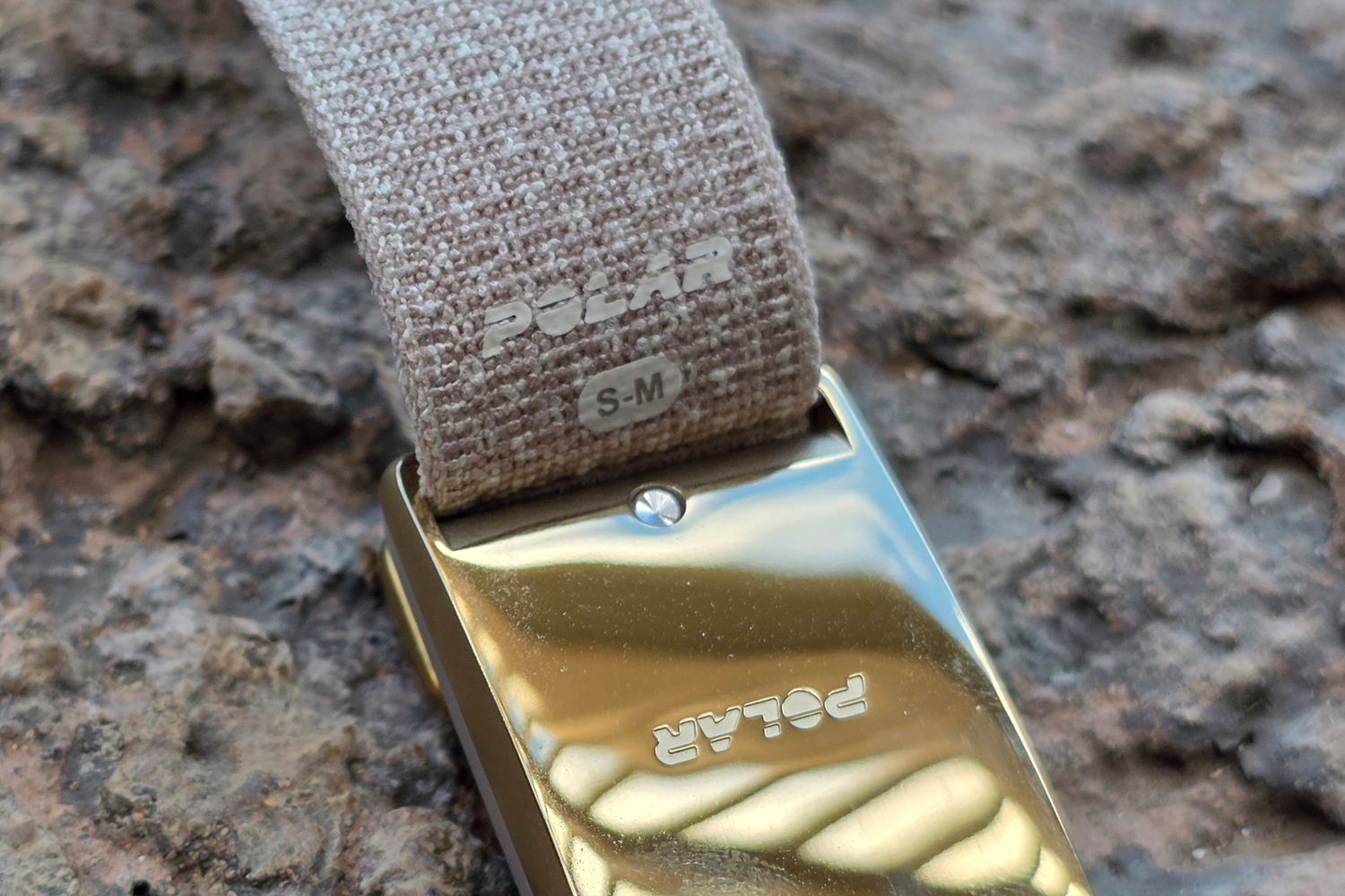 Polar Loop review strap sizes