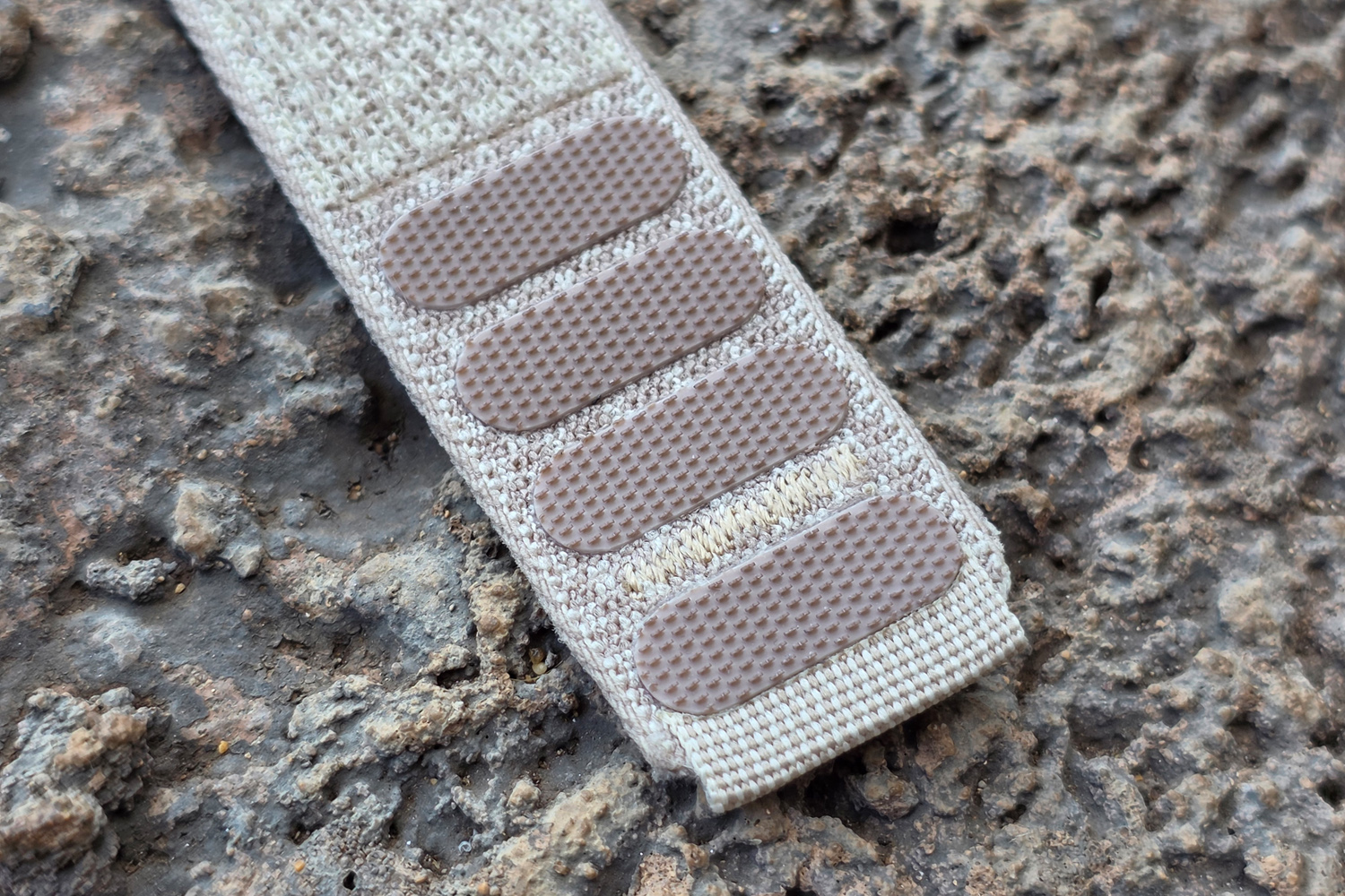 Polar Loop review strap