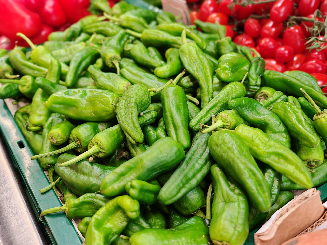 Nubia Z80 Ultra camera samples padrons