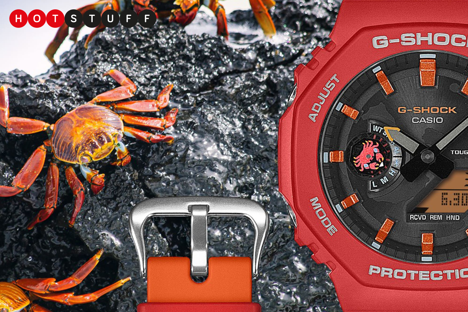 Charles Darwin x G-Shock is the watch collaboration I didn’t know I needed