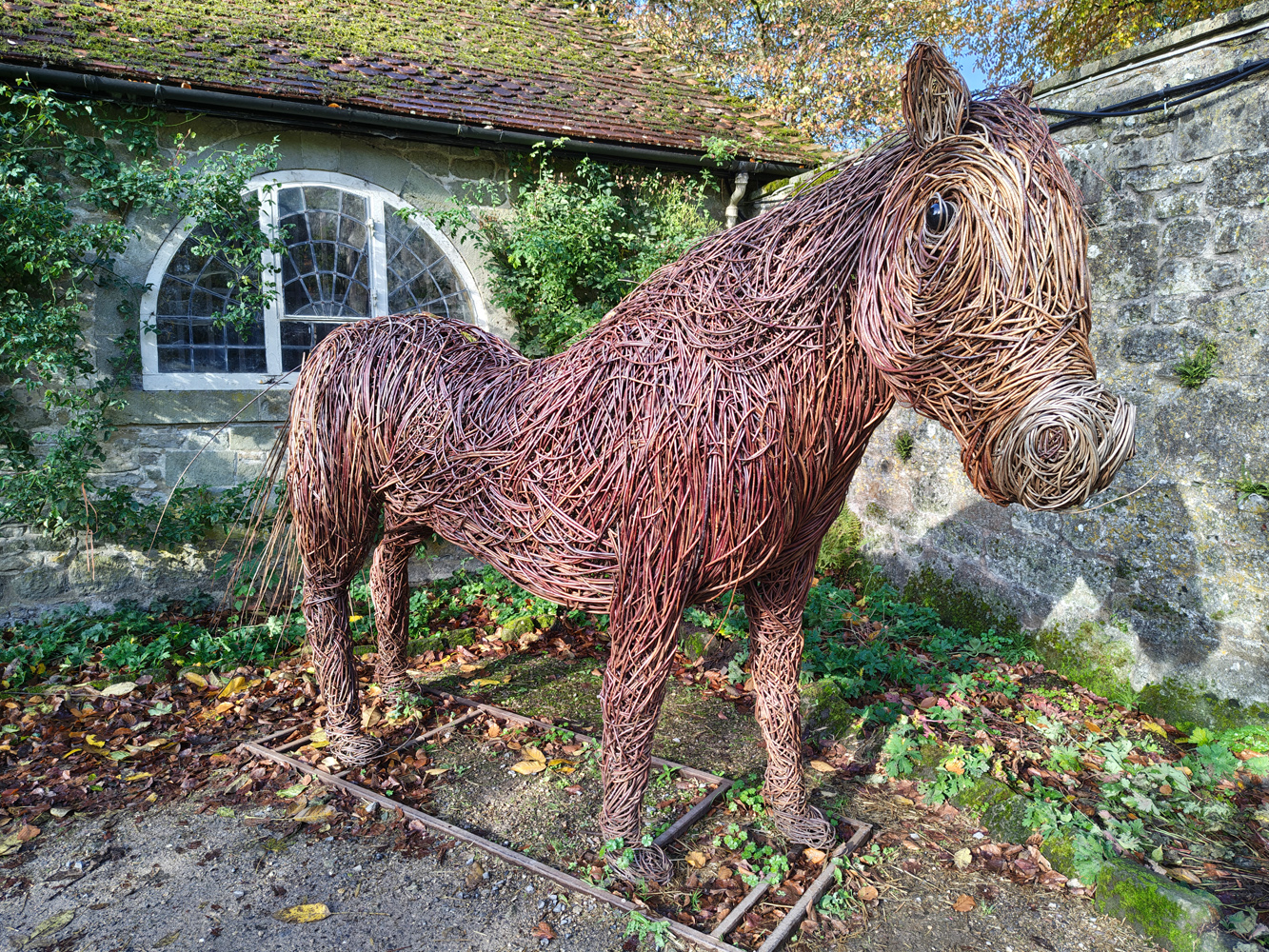 Motorola Edge 70 camera samples wicker horse