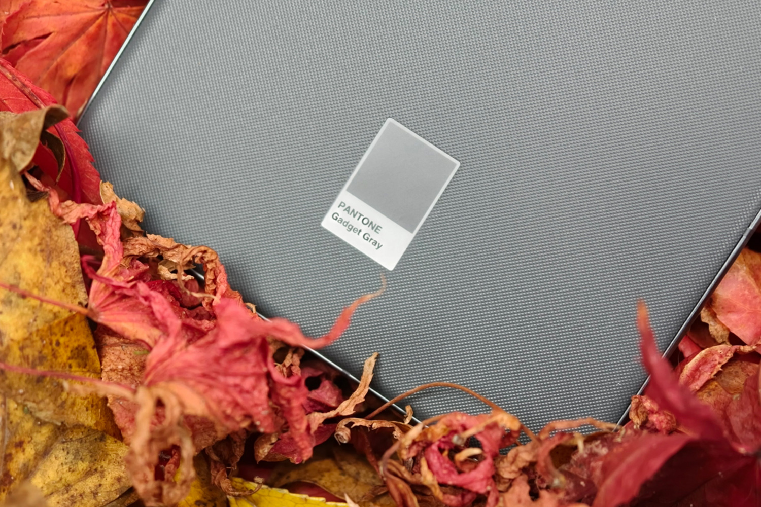 Motorola Edge 70 review Pantone swatch