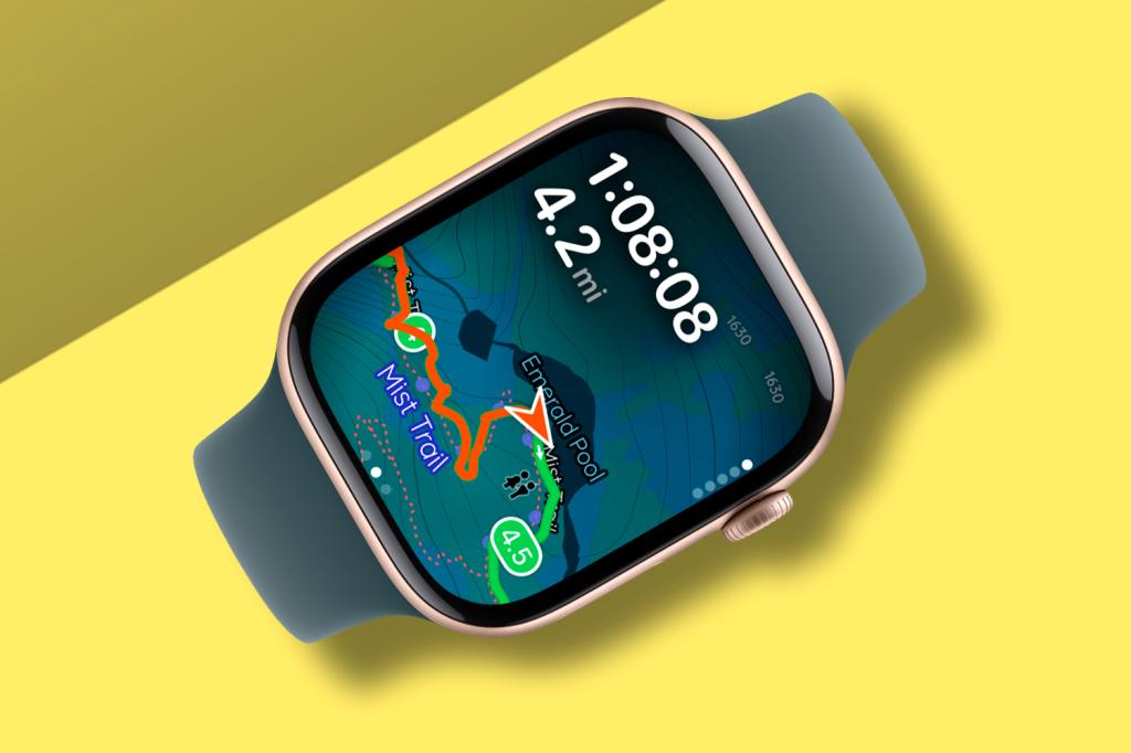 Pedometer++ app for Apple Watch