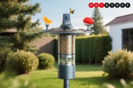 Birdfy Feeder Vista gives you a panoramic view of avian eating habits