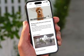 Ring’s Search Party feature can now reunite more lost dogs with their owners