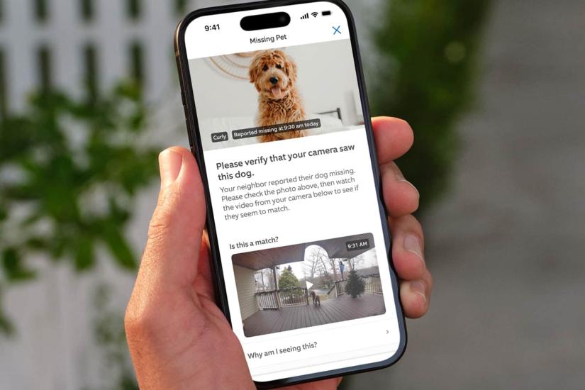 Ring’s Search Party feature can now reunite more lost dogs with their owners