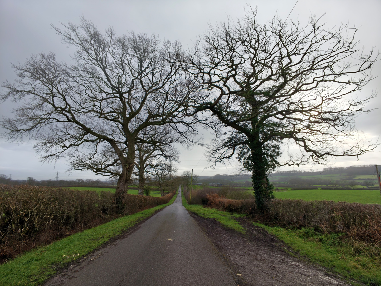Xiaomi 17 camera samples country lane ultrawide