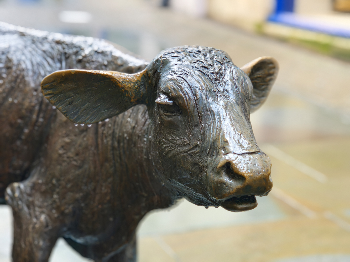 Xiaomi 17 camera samples cow statue
