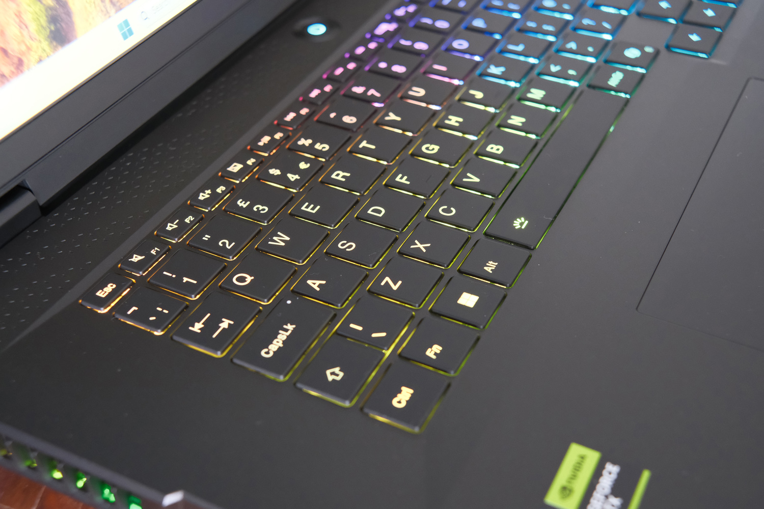 Medion Beast 18 review RGB