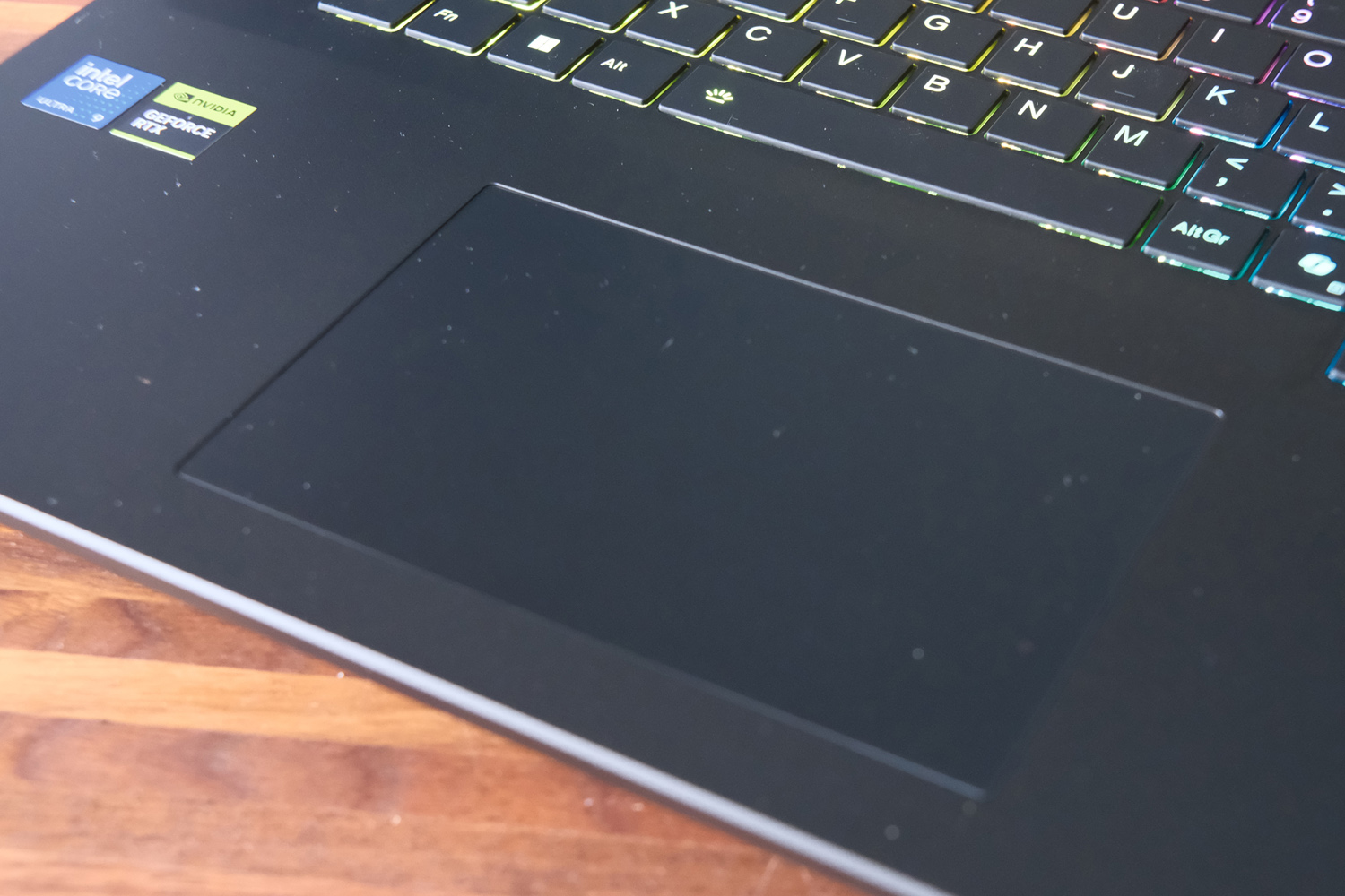 Medion Beast 18 review touchpad