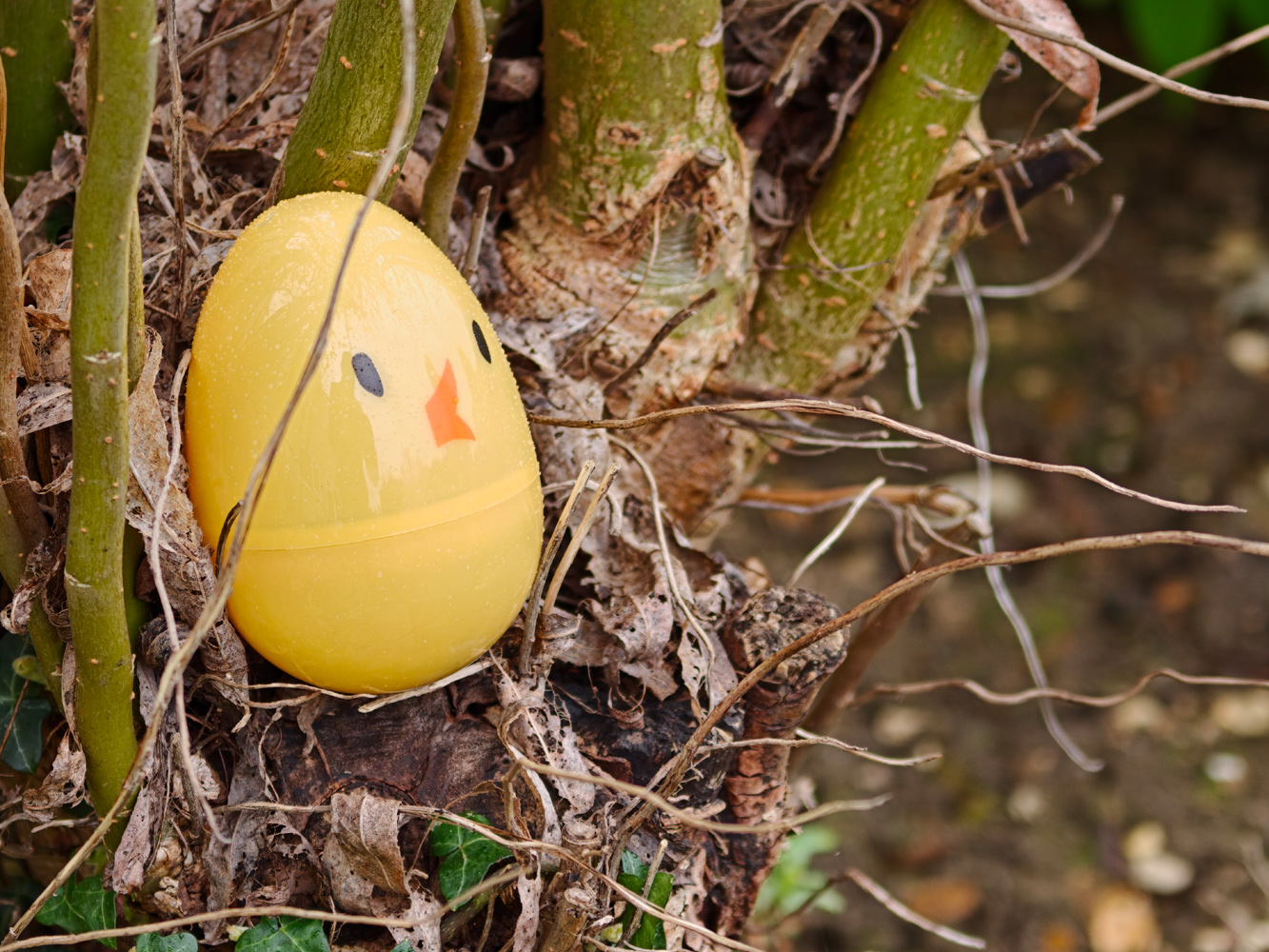 Oppo Find X9 Ultra camera samples bokeh egg