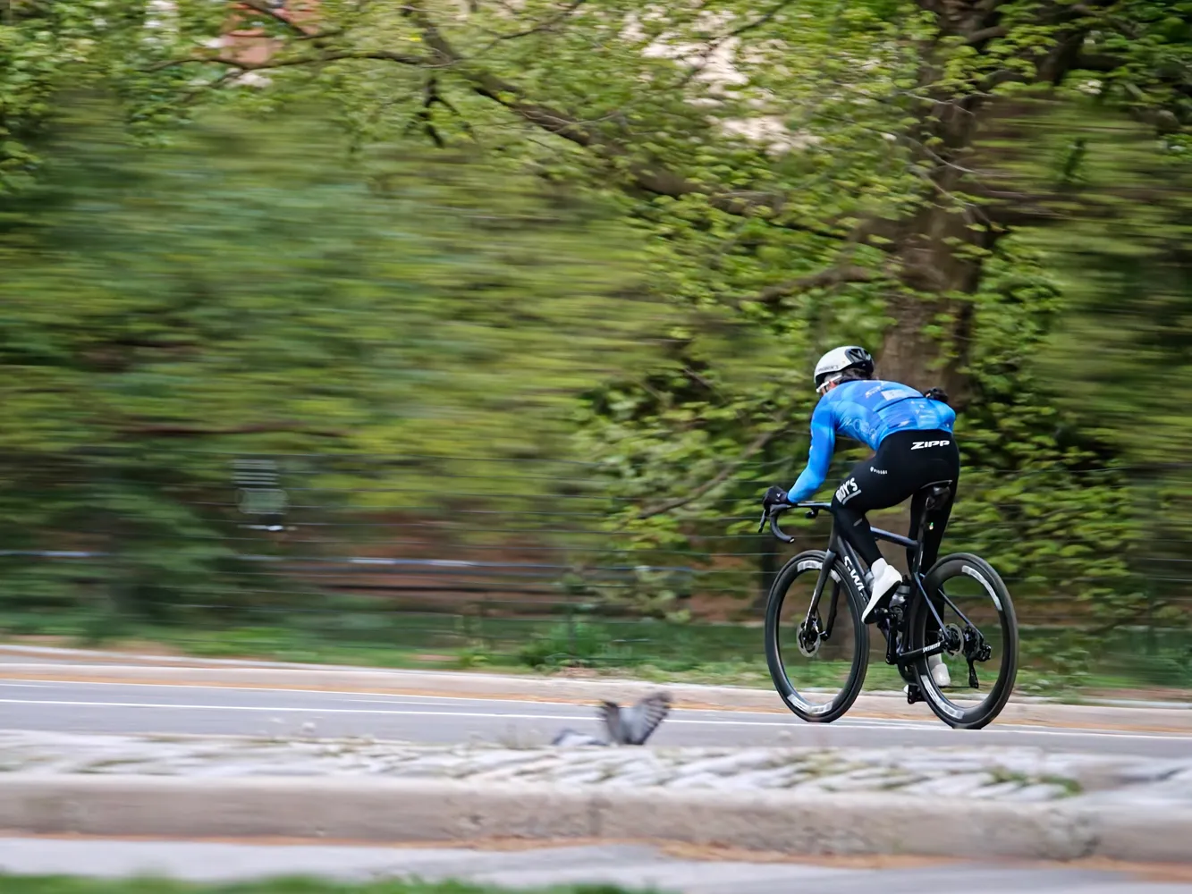 Oppo Hasselblad lens extender camera samples cyclist