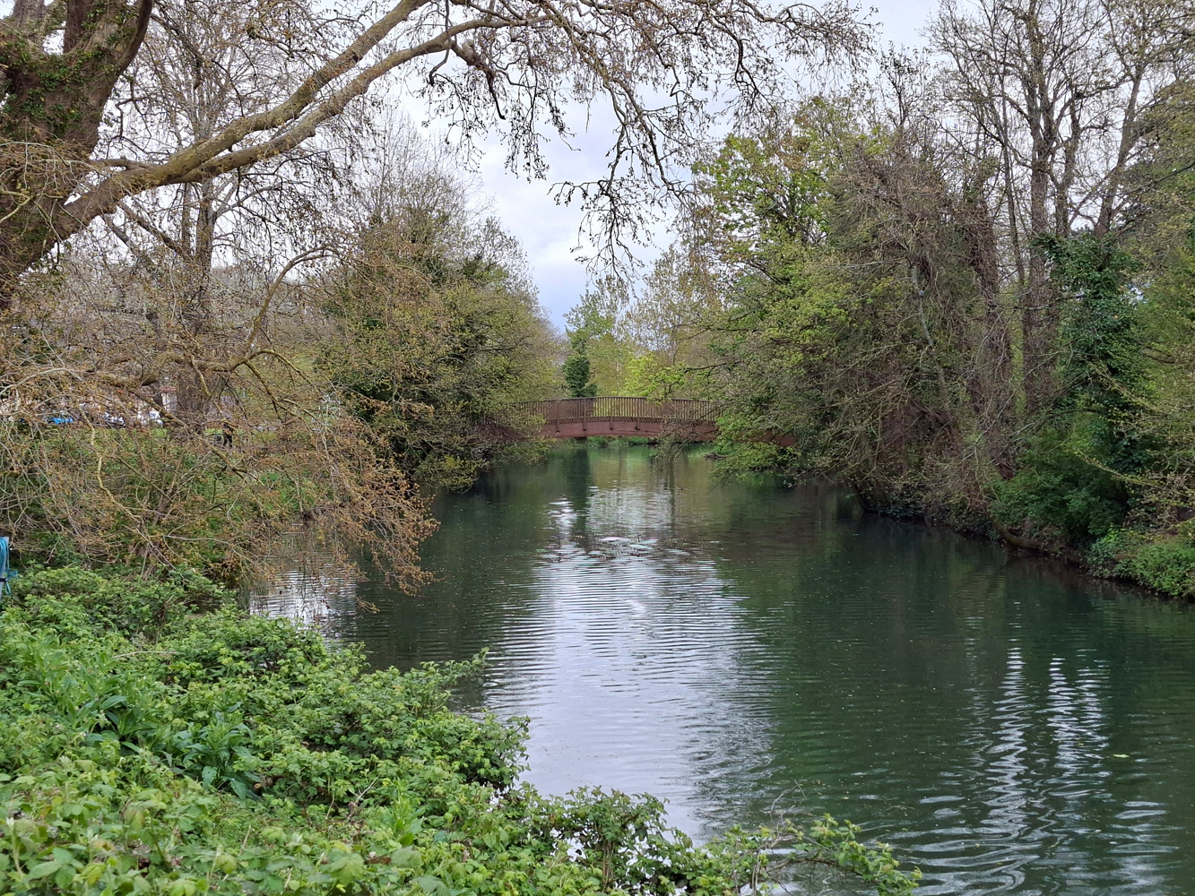Samsung Galaxy A57 camera samples bridge 2x