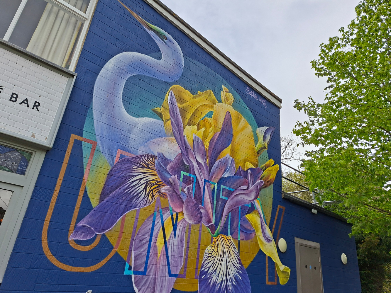 Samsung Galaxy A57 camera samples mural