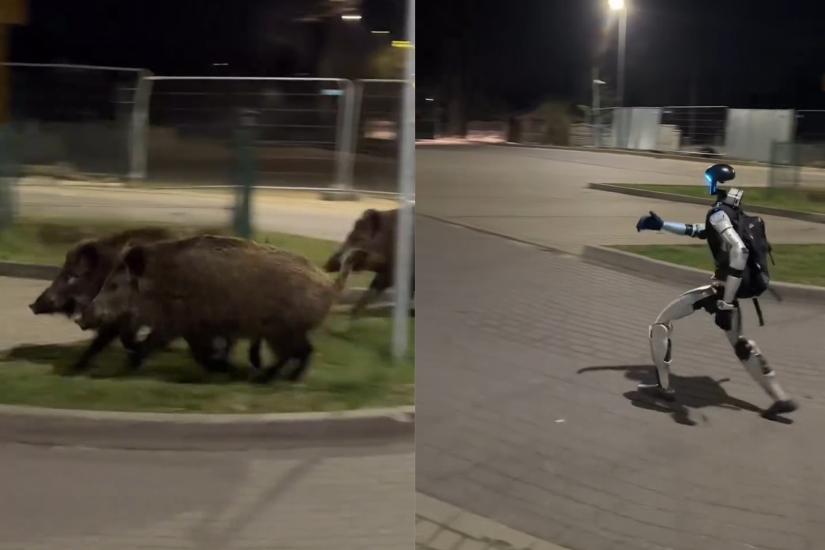 Watch a humanoid robot sprint after wild boars in one of the strangest viral tech moments yet