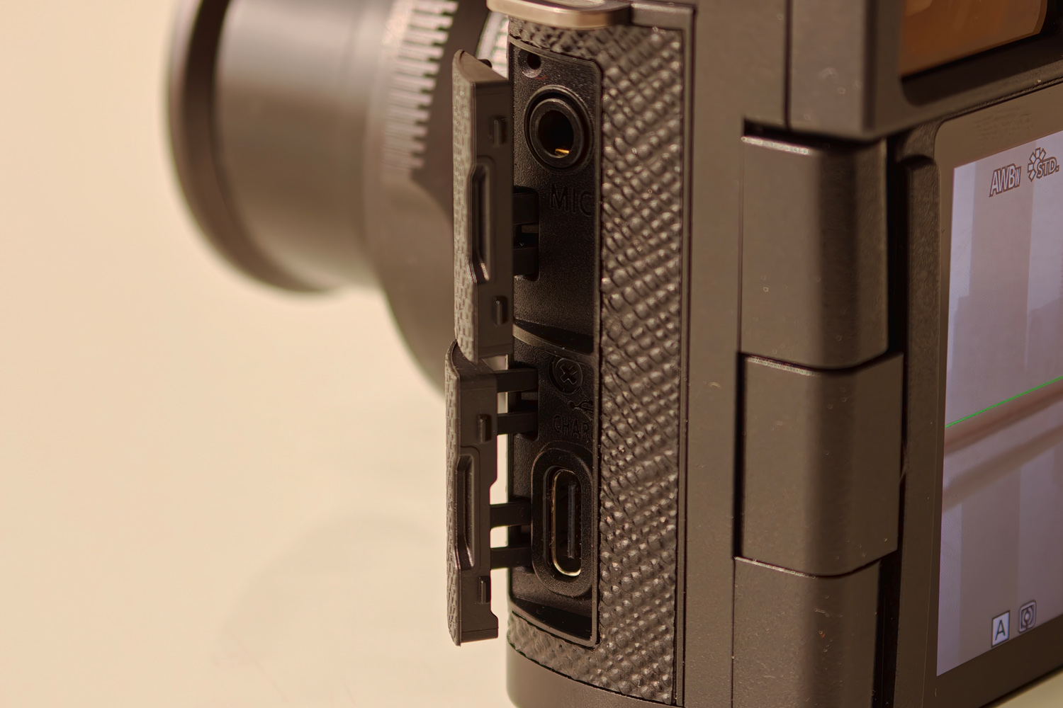 Panasonic Lumix L10 ports
