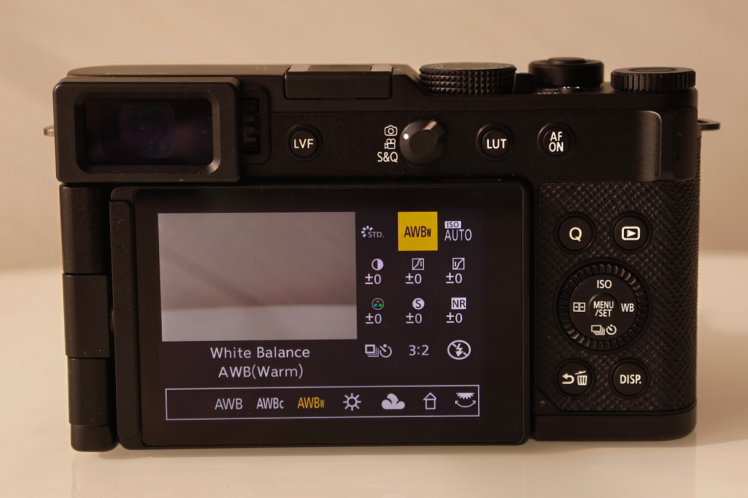 Panasonic Lumix L10 rear