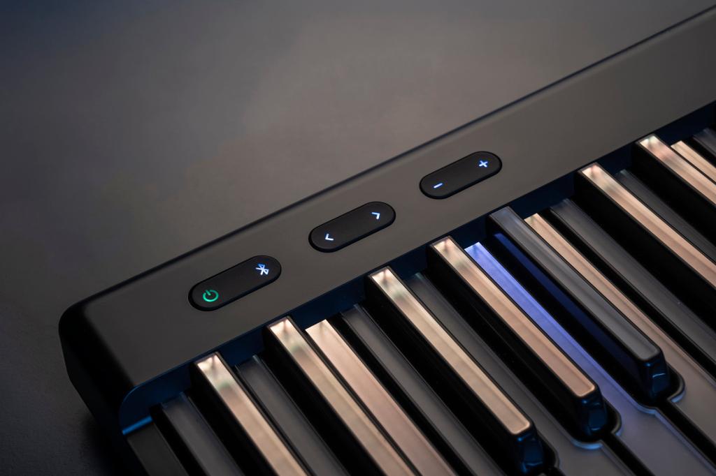 Roli Piano System
