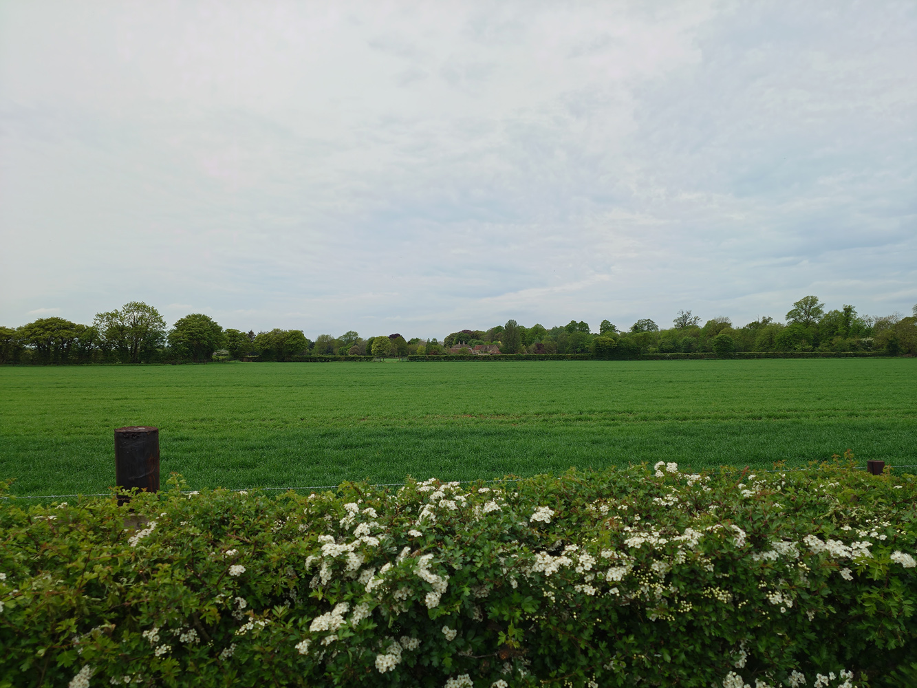 Sony Xperia 1 VIII camera samples 1x zoom