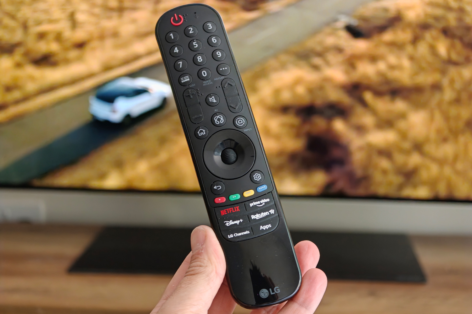 LG 55OLEDG6 TV review remote control
