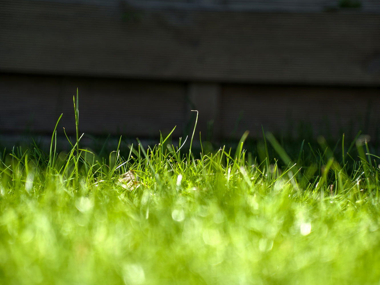 Vivo X300 Ultra camera samples photography kit bokeh