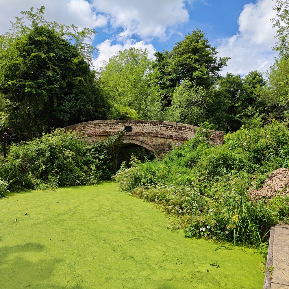 Honor Magic V6 camera samples vibrant